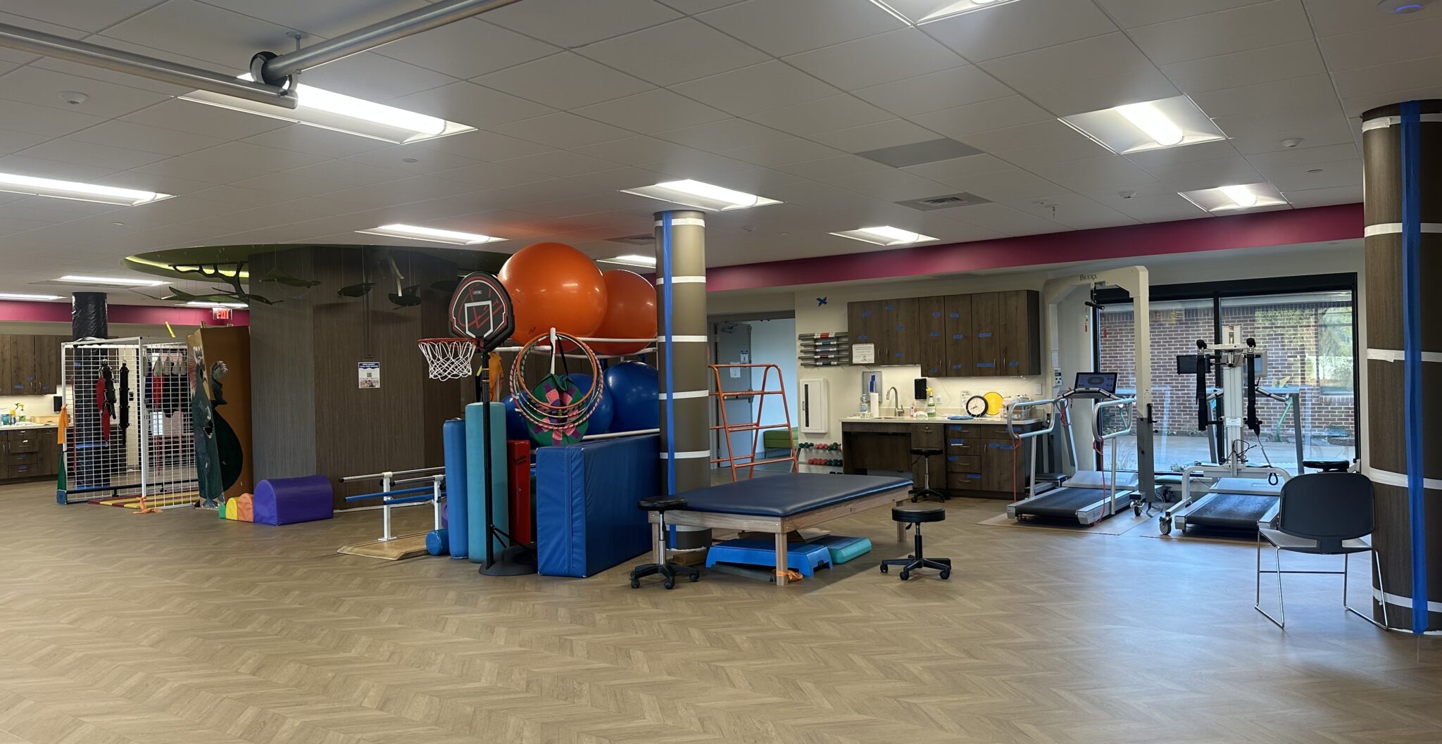 OASUS Harness System Takes Pediatric Physical Therapy To New Heights At 