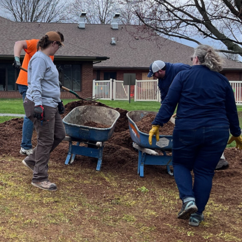 Volunteer thumb